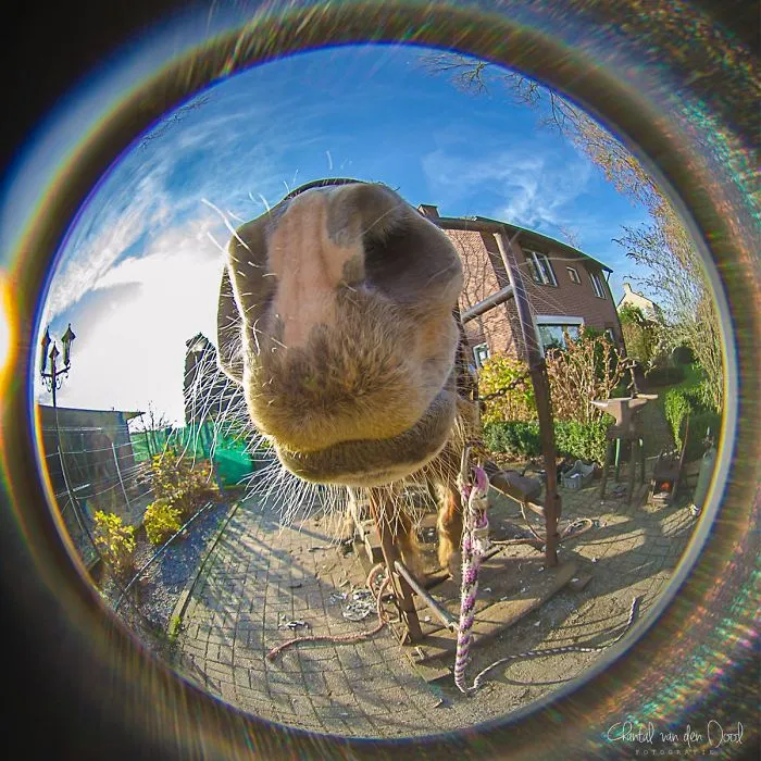 I Capture My Daily Views Through The Fish Eye Lens