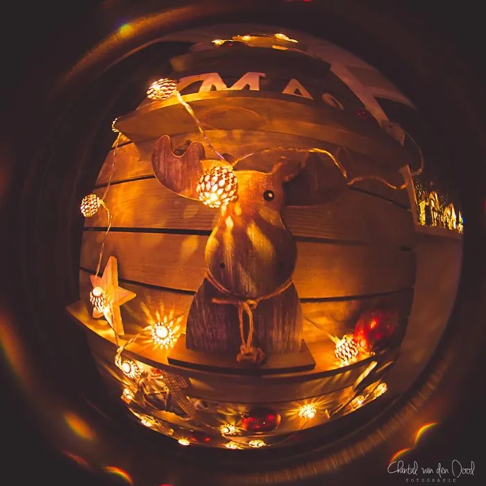 I Capture My Daily Views Through The Fish Eye Lens