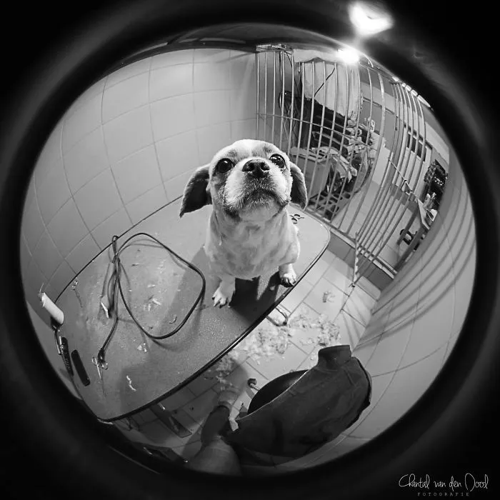 I Capture My Daily Views Through The Fish Eye Lens