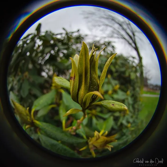 I Capture My Daily Views Through The Fish Eye Lens