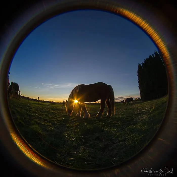 I Capture My Daily Views Through The Fish Eye Lens