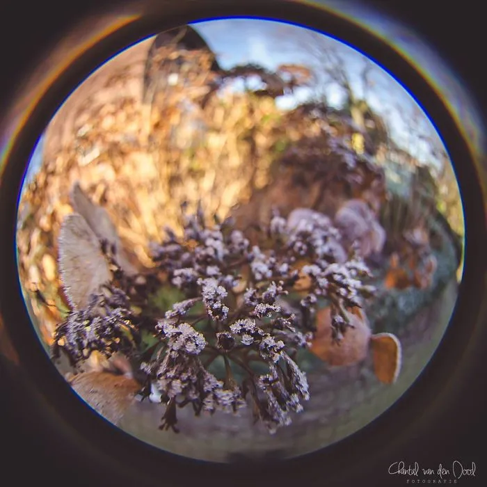I Capture My Daily Views Through The Fish Eye Lens