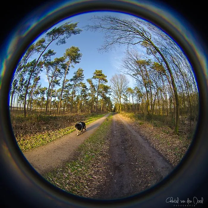 I Capture My Daily Views Through The Fish Eye Lens