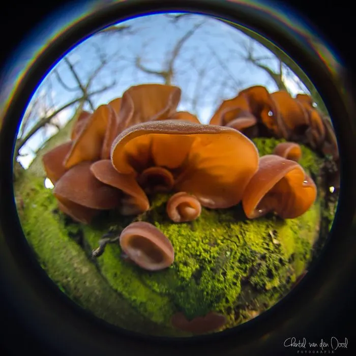 I Capture My Daily Views Through The Fish Eye Lens
