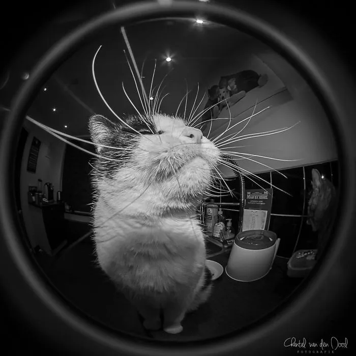 I Capture My Daily Views Through The Fish Eye Lens