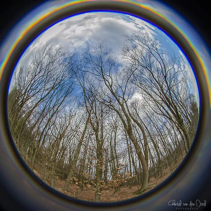 I Capture My Daily Views Through The Fish Eye Lens