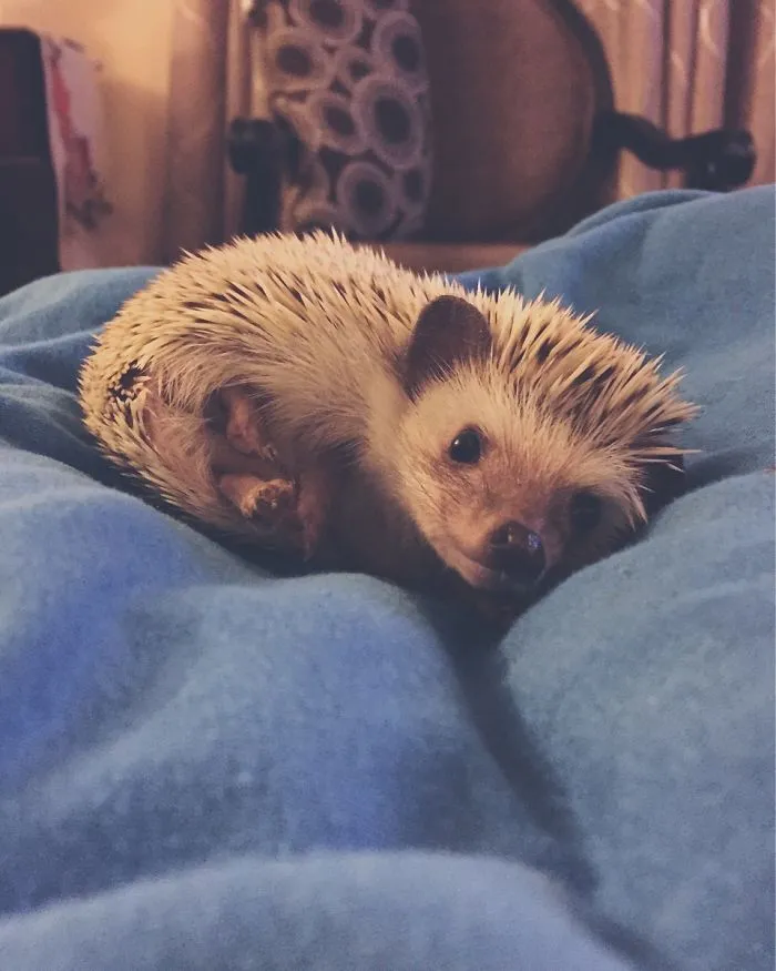 Her Silly Smile