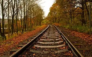 The Beauty Of Autumn