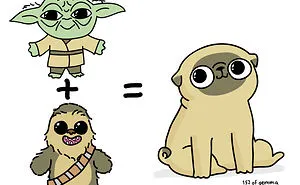 What It's Like To Live With A Pug In 40 Pics