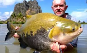 This Secret Lake In Thailand Has Got Worlds Biggest Fish In It