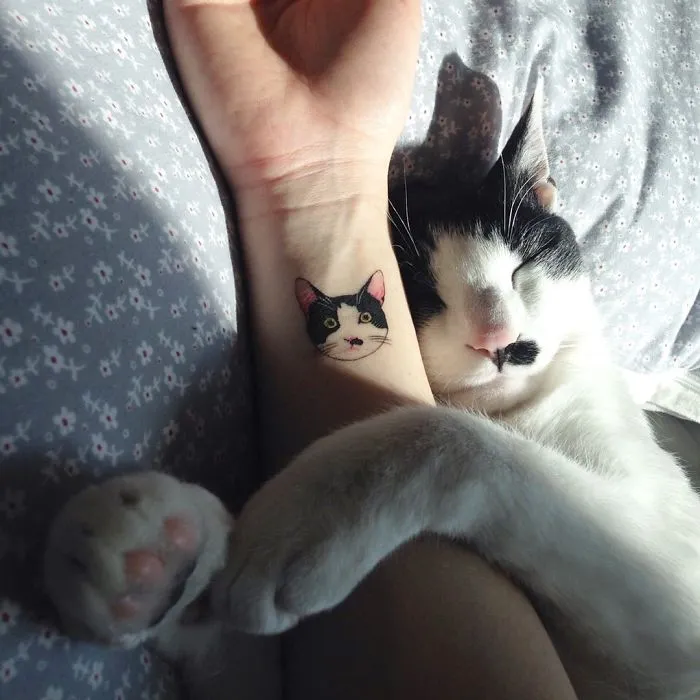 Minimalist tattoo of a cat on a person's wrist, next to a sleeping black and white cat.