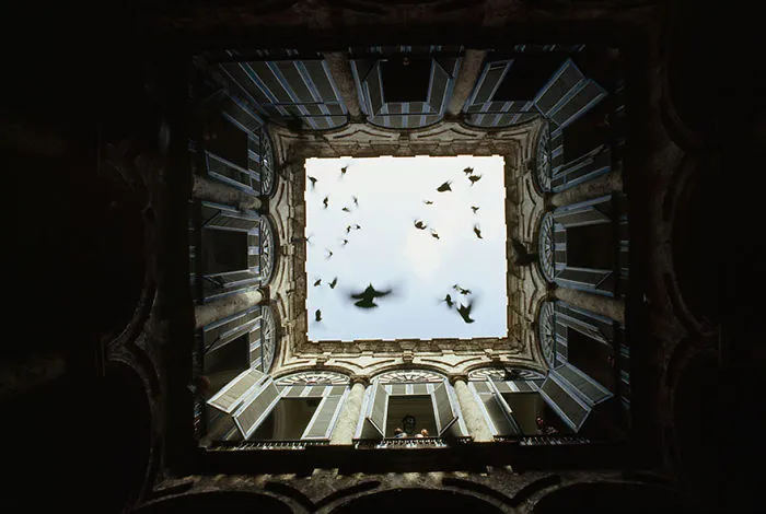 A Flock Of Birds Fly Up From An Enclosed Courtyard In Old Havana, December 1987