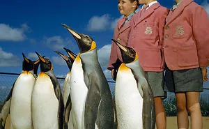 77 Unpublished Photos From National Geographic Archives