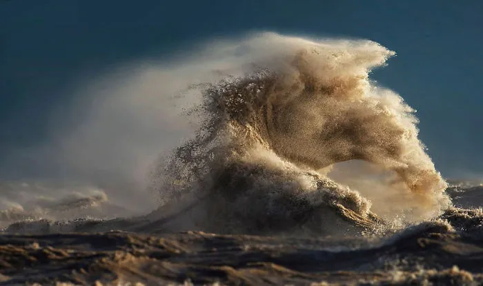 Wave