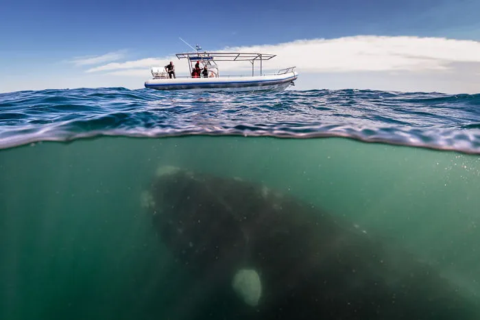 What Lies Beneath