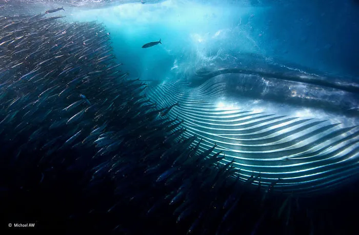 Under Water