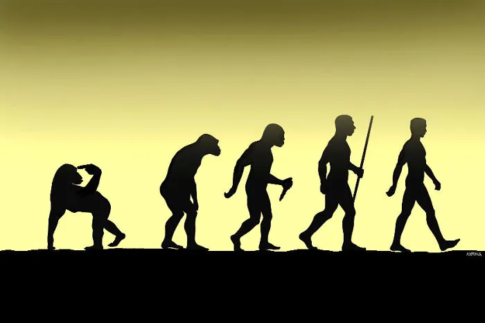 Evolution (by Kotrha)