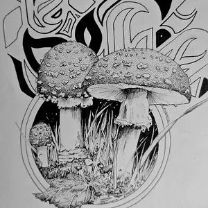 m.mechler