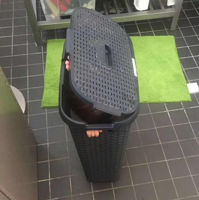 A Tisket, A Tasket ...  A Kid In A Laundry Basket?