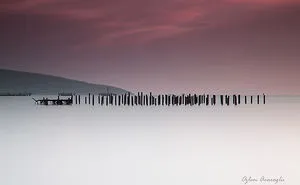 Iiiıııiiiııııiiıiiıııııiiiiııiiiııiiiıiiııııiiiiııııiiiiı