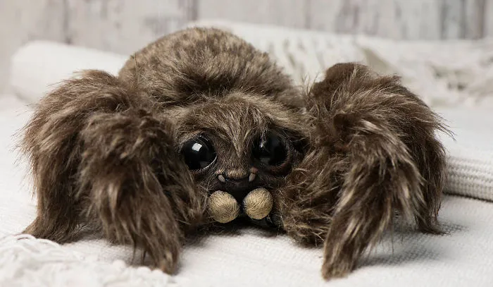 Baby Spider