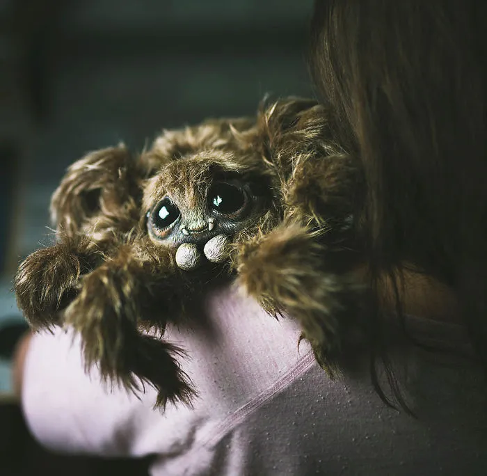 Baby Spider