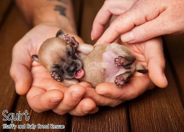 Squirt, Alive & Thriving Through Sheer Determination & Commitment.