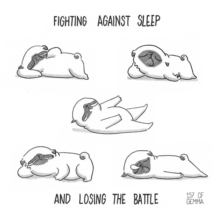 What It's Like To Live With A Pug In 40 Pics