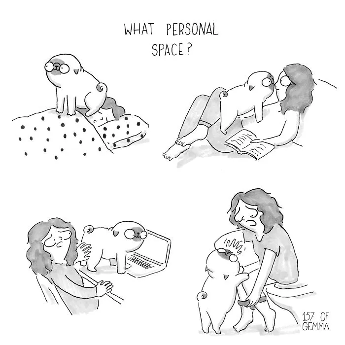 What It's Like To Live With A Pug In 40 Pics