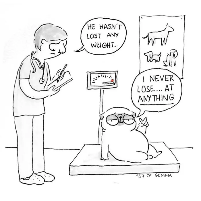 What It's Like To Live With A Pug In 40 Pics