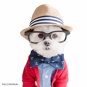Toby LittleDude