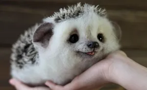 Adorable Little Animals That I Make From Wool