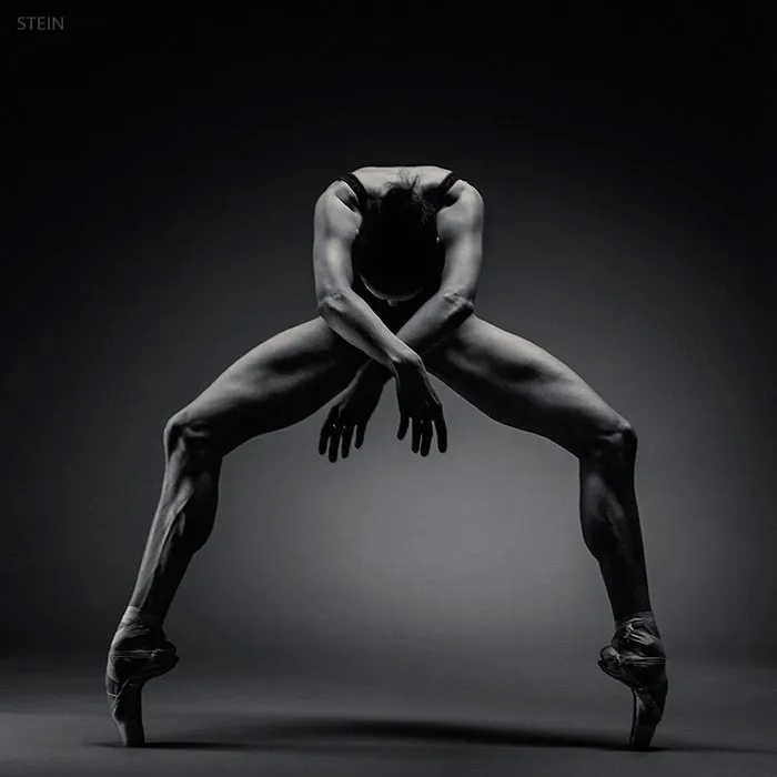 The Cost Of Applause: 77 Pics To Celebrate Ballet Day
