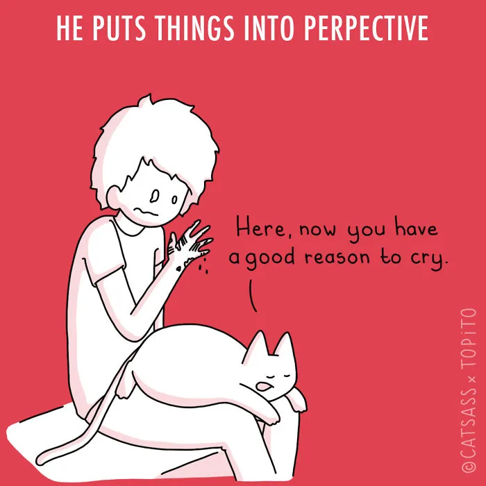 He Puts Things Into Perspective