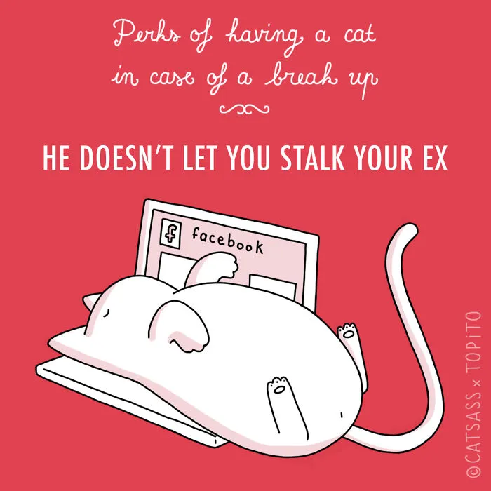 He Doesn' Let You Stalk Your Ex