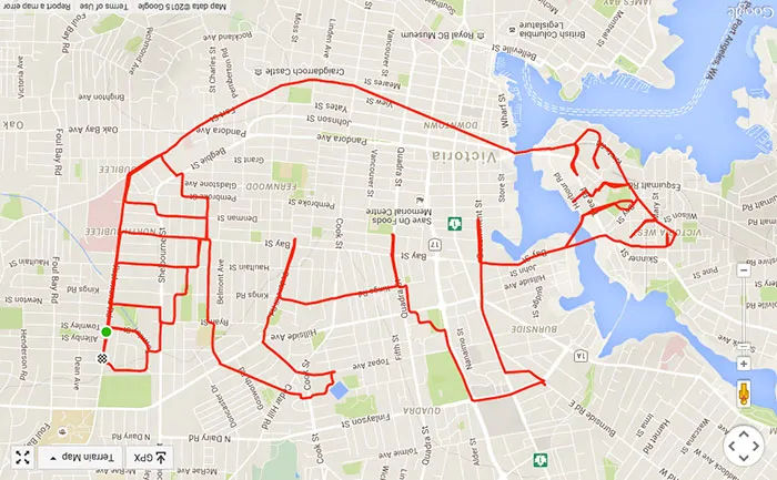 Alan's Spirit Animal (26.3 km, 1 h 7 min)