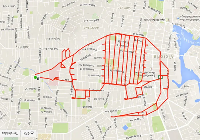 Armadillo