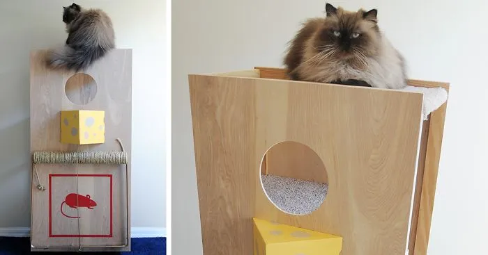 I Made A Giant Mousetrap For Cats
