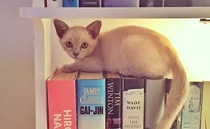 Catching Up On Some Reading