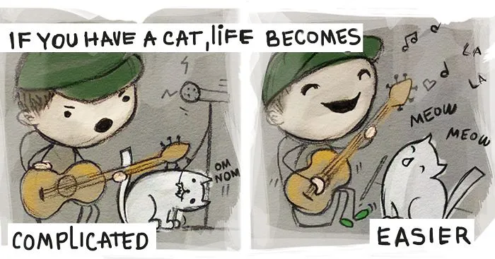 Life With Cats Is Both - More Comlpicated And Easier