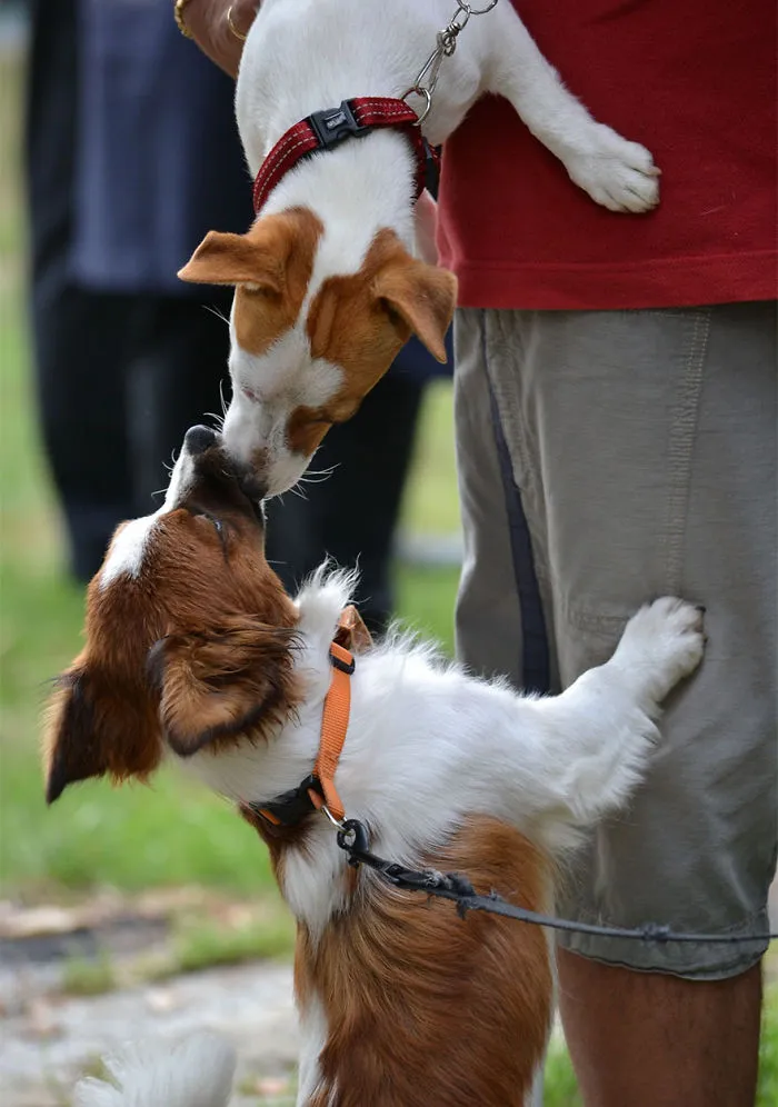 Kiss