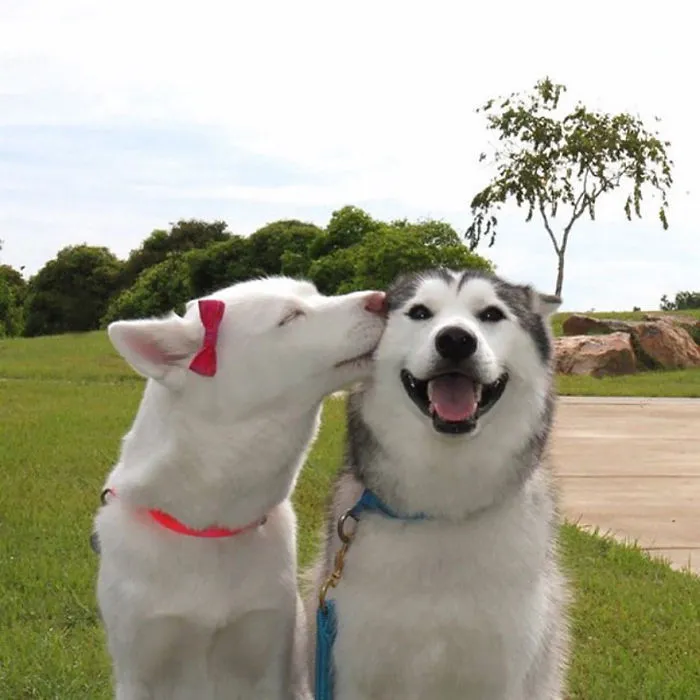 A Little Kiss