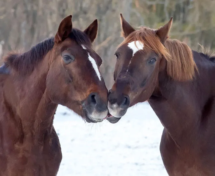 Cute Couple