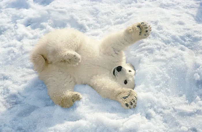 Give Me A Hug