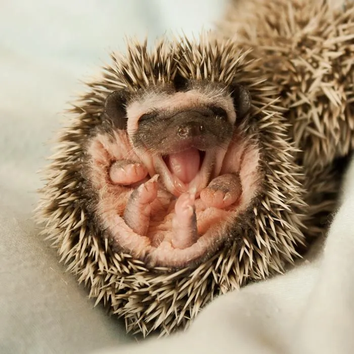 He's So Happy