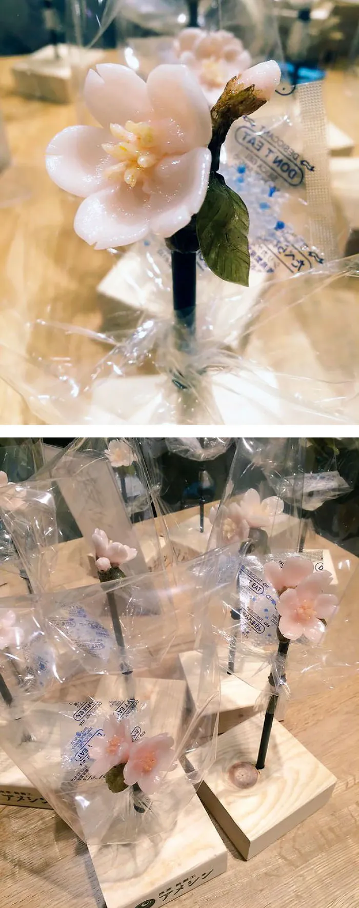 Sakura Candy