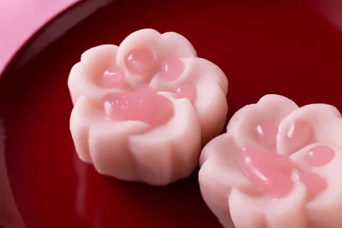 Cherry Blossom Paw Treats