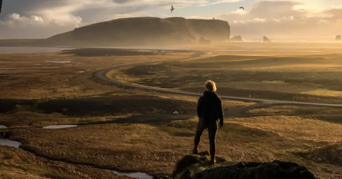 My First Passport Stamp, Iceland And Taking My Most Most Notable Photo.