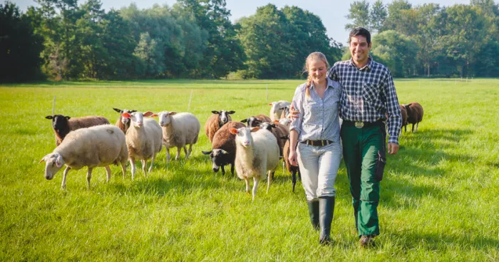 I Wanted To Know How To Make Feta Cheese So I Joined Anna On Her Small Farm