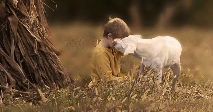 Heartwarming Photos Of My Son And Our Rescued Dogs